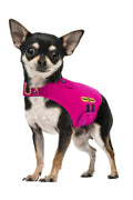 ZenVest™ Ultimate Calming Compression Jacket