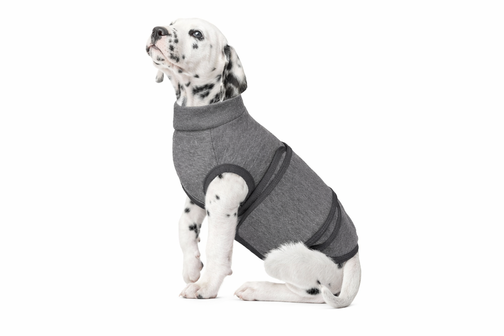 SecureSoothe™ Anti-Anxiety Vest Grey L