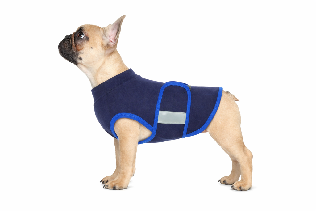 HugHeal™ Soothing Pressure Jacket on French Bulldog Side View | Paws&Peace